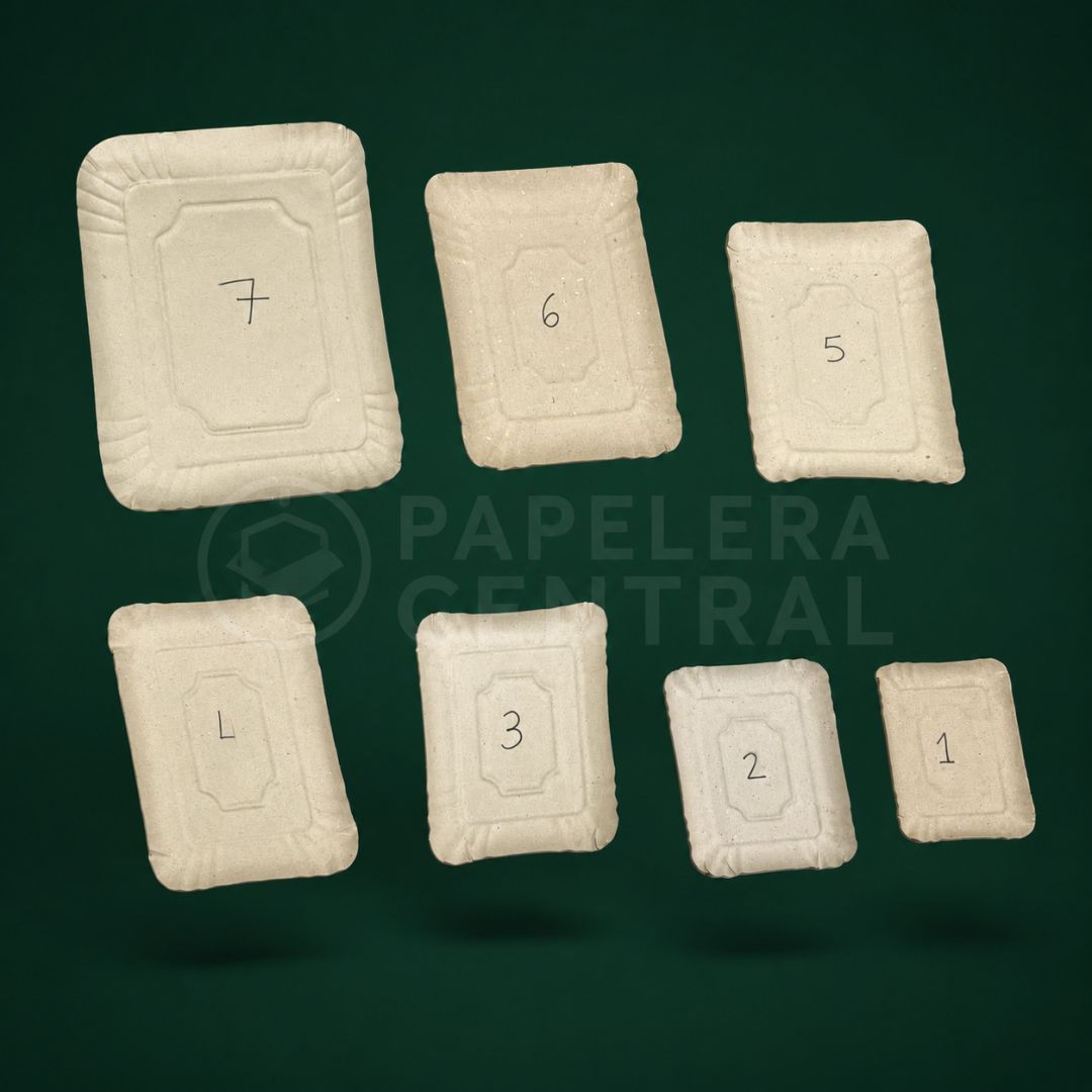 bandcarton-gris-n3-refx900-3927
