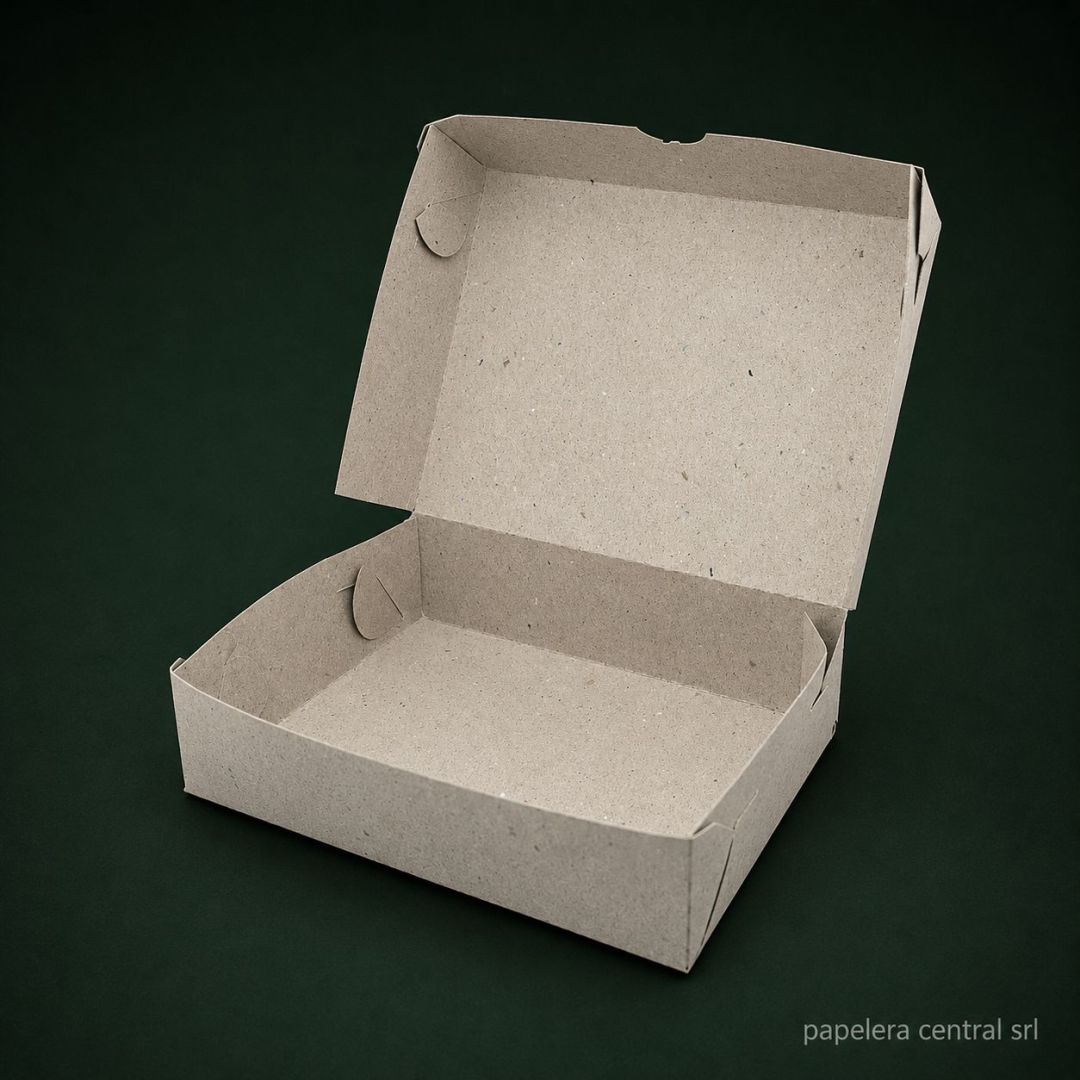 cajas-plomo-grande-gris-x-100u-4584