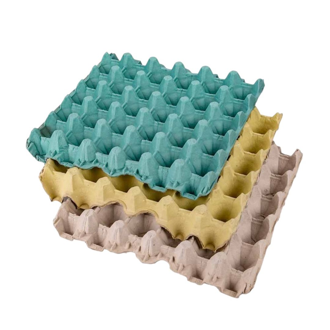 maple-phuevos-celmold1x30ux140-4636