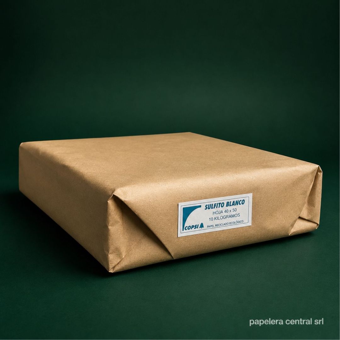 papel-copsi-en-resma-40x50-x-kg-5064