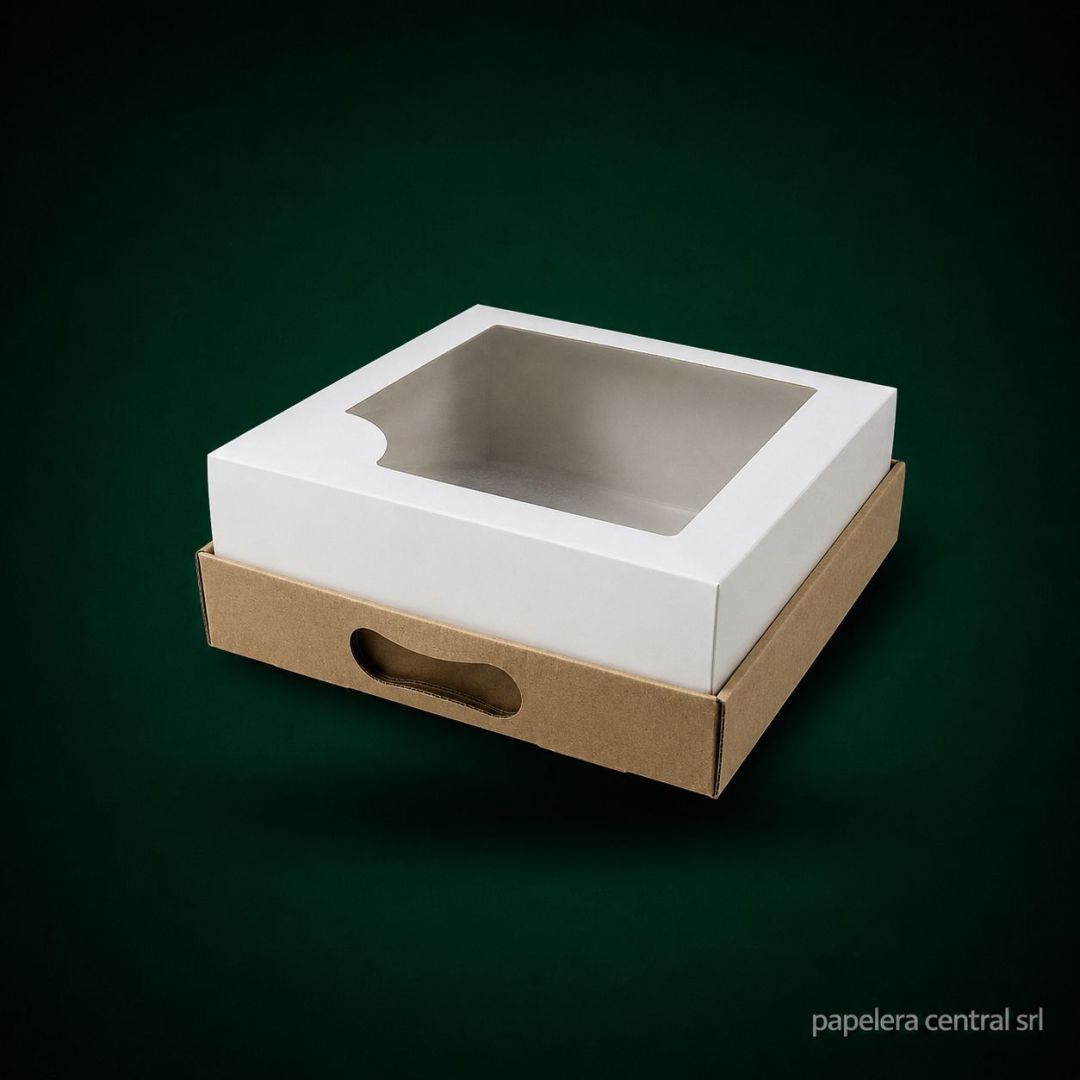 caja-cvisor-ptorta-baja-25x25x10-x-ux25-5717