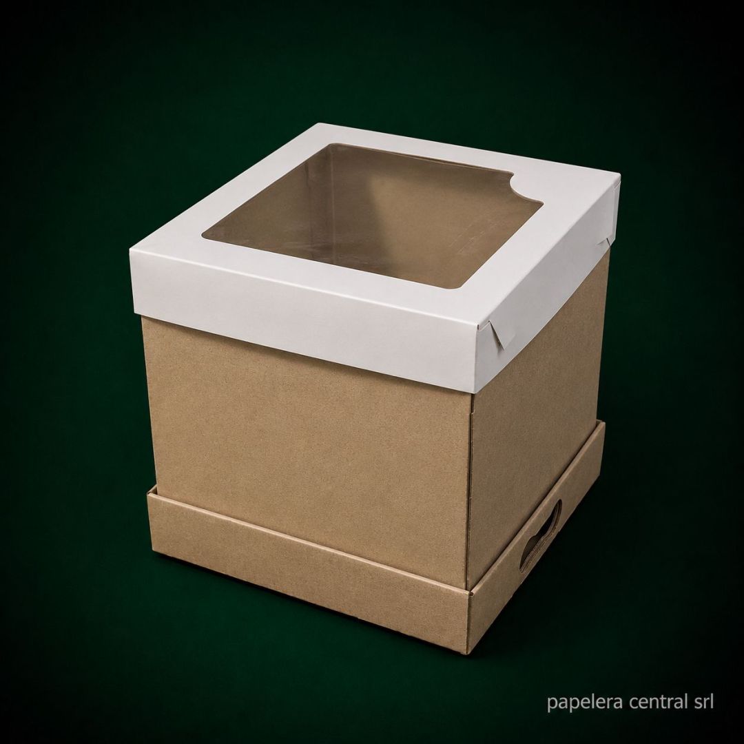 caja-cvisor-ptorta-alta-25x25x25-x-ux25-5719